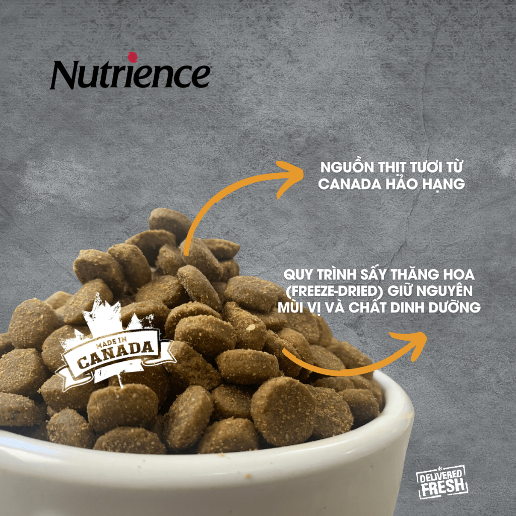 Ảnh Thức ăn cho chó nhỏ Nutrience Infusion Adult Small Breed - thịt gà và rau củ trái cây tự nhiên 500g 3