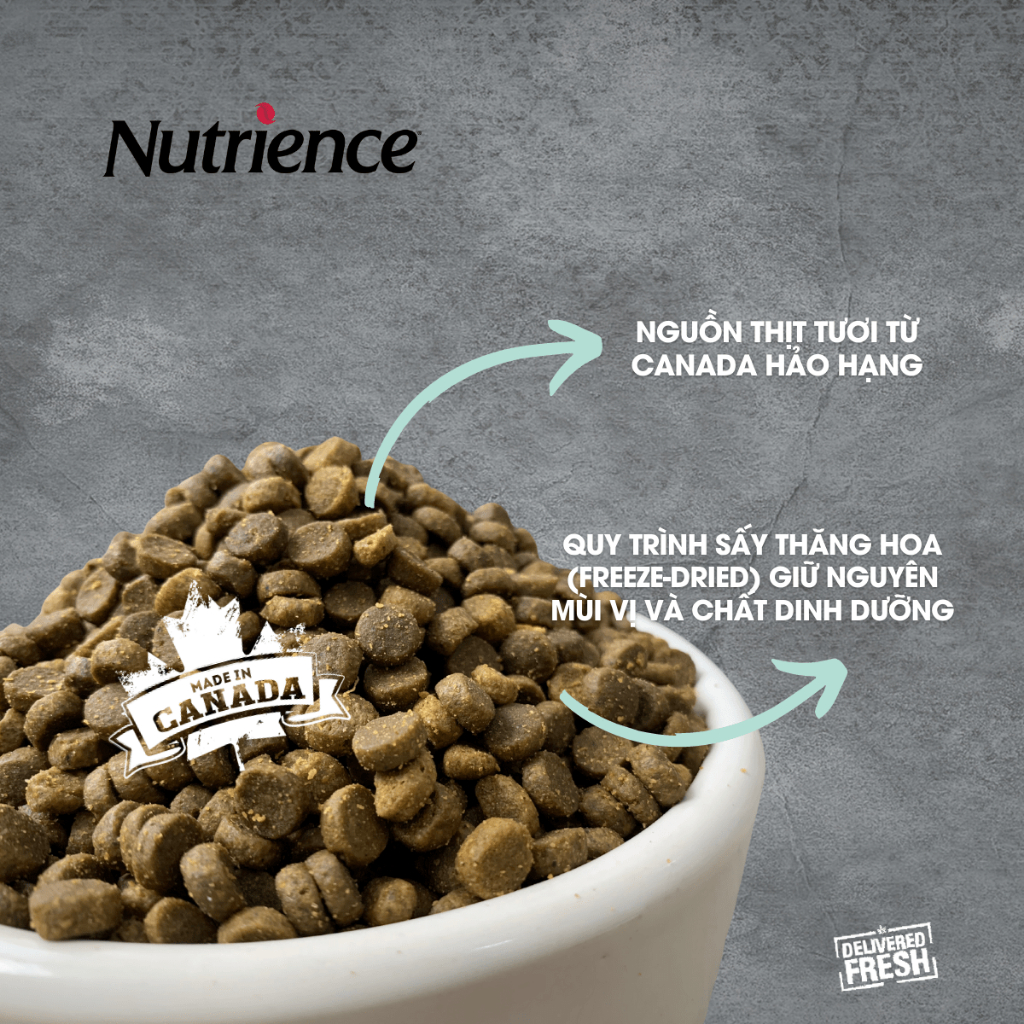 Ảnh Thức ăn cho mèo trưởng thành Nutrience Infusion Adult Indoor  - thịt gà và rau củ quả 2.27kg 3
