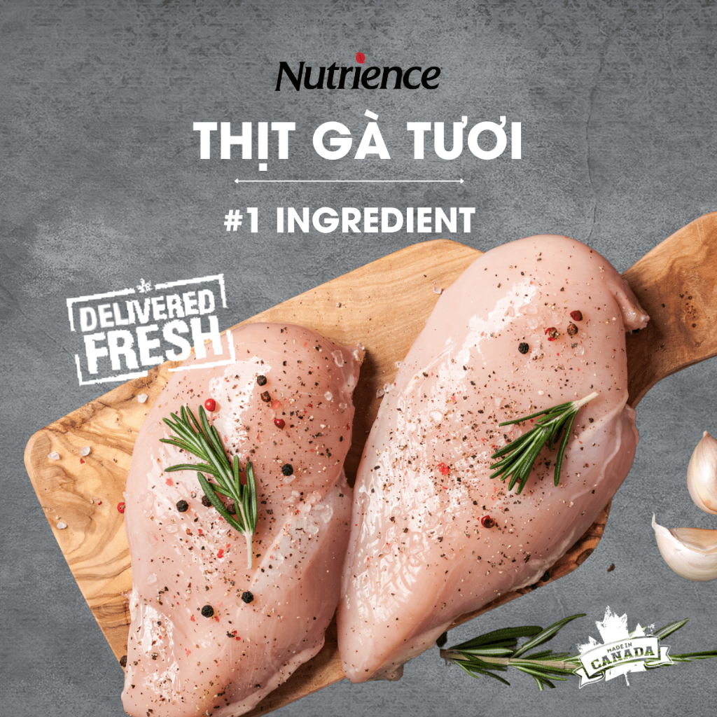 Ảnh Thức ăn cho mèo trưởng thành Nutrience Infusion Adult Indoor  - thịt gà và rau củ quả 2.27kg 4