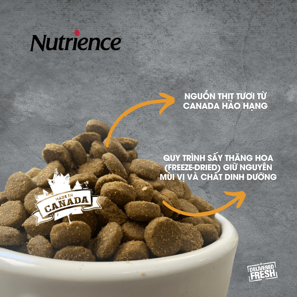 Ảnh Thức ăn cho chó trung bình lớn Nutrience Infusion Healthy Adult - thịt gà và rau củ trái cây 10kg 3