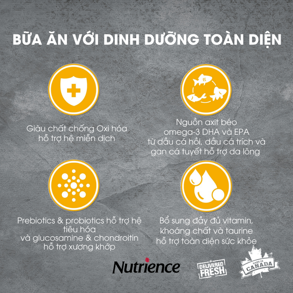 Ảnh Nutrience Infusion Healthy Adult thức ăn cho chó TB lớn - thịt gà và rau củ trái cây tự nhiên 500g 2
