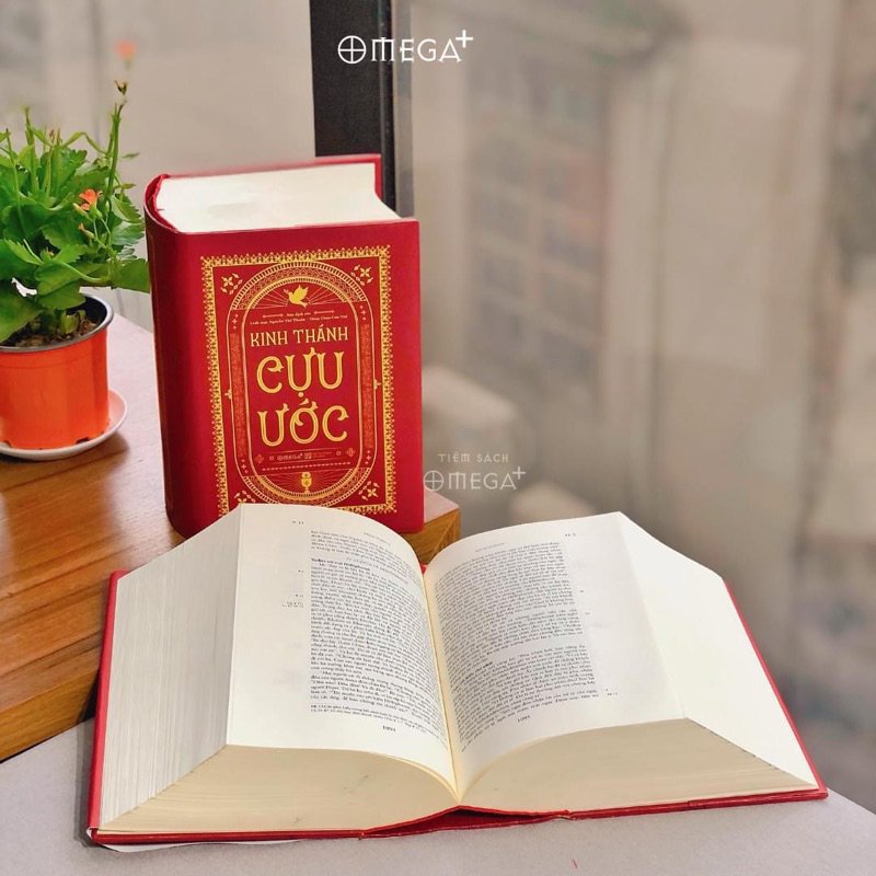 Sách Kinh Thánh Cựu Ước & Tân Ước - Linh mục Nguyễn Thế Thuấn - Omega Plus  (Lẻ/Combo) | Shopee Việt Nam