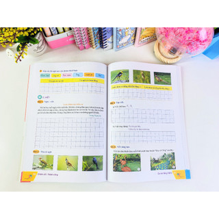 Sách - Ôn Hè Tiếng Việt 2 (Biên soạn theo chương trình GDPT mới Cánh Diều) - ndbooks