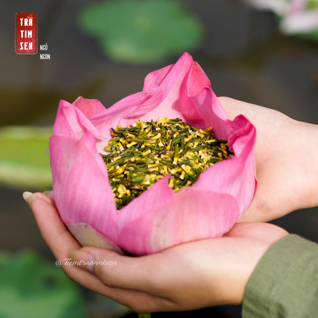 Thiết Kế Của Trà Tâm Sen An Nhiên Tiêu Chuẩn