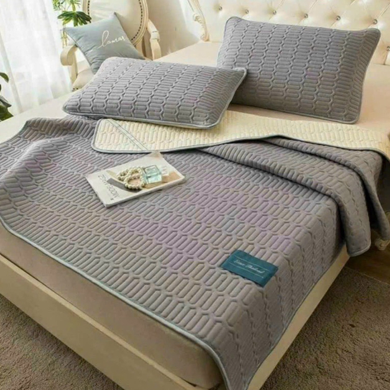 Ảnh Tặng 2 vỏ gối Chiếu Điều Hòa latex thái lan cao su non Boss Decor 1