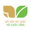 Sách - SGK Toán 1 - Kết nối tri thức và cuộc sống