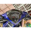 PPF Yamha Jupiter FI RC (2021) ..... PPF dán bảo vệ đồng hồ xe