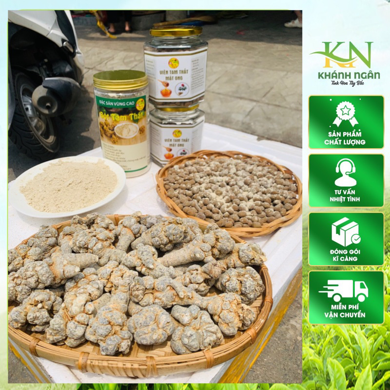 Tam Thất Bắc Khô Nguyên Củ – Tam Thất Tây Bắc – Loại Củ Già, Sạch, Khô Tự Nhiên