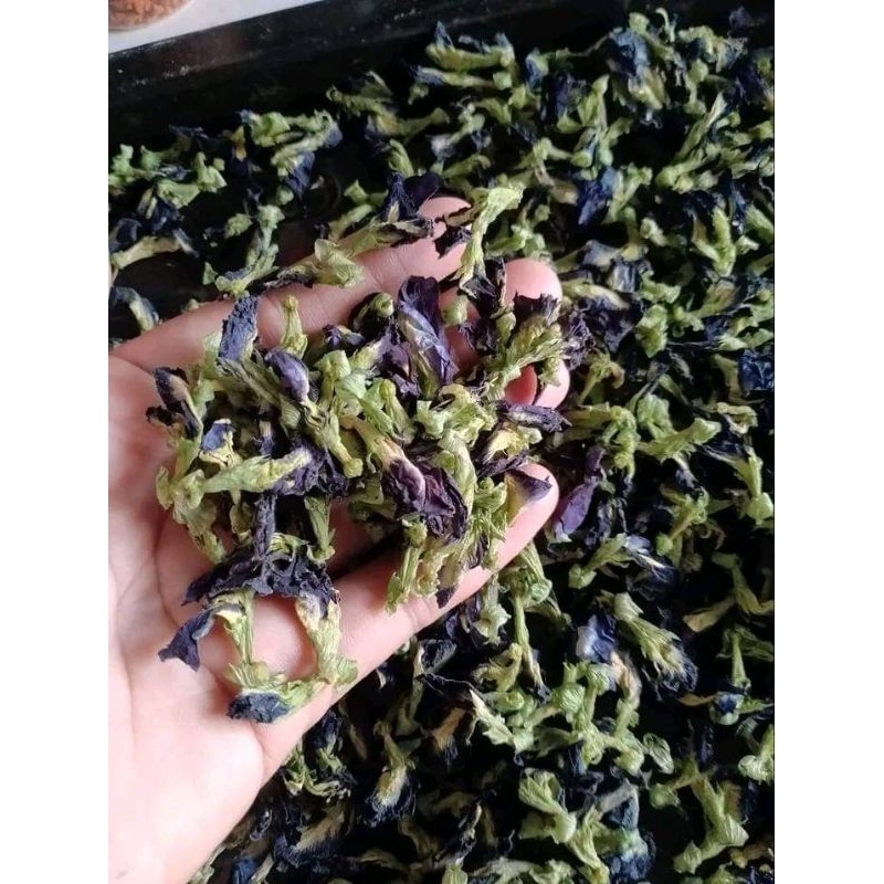 50 hạt giống hoa đậu biếc💖 NẢY MẦM CỰC ĐỈNH💖 hoa quanh năm