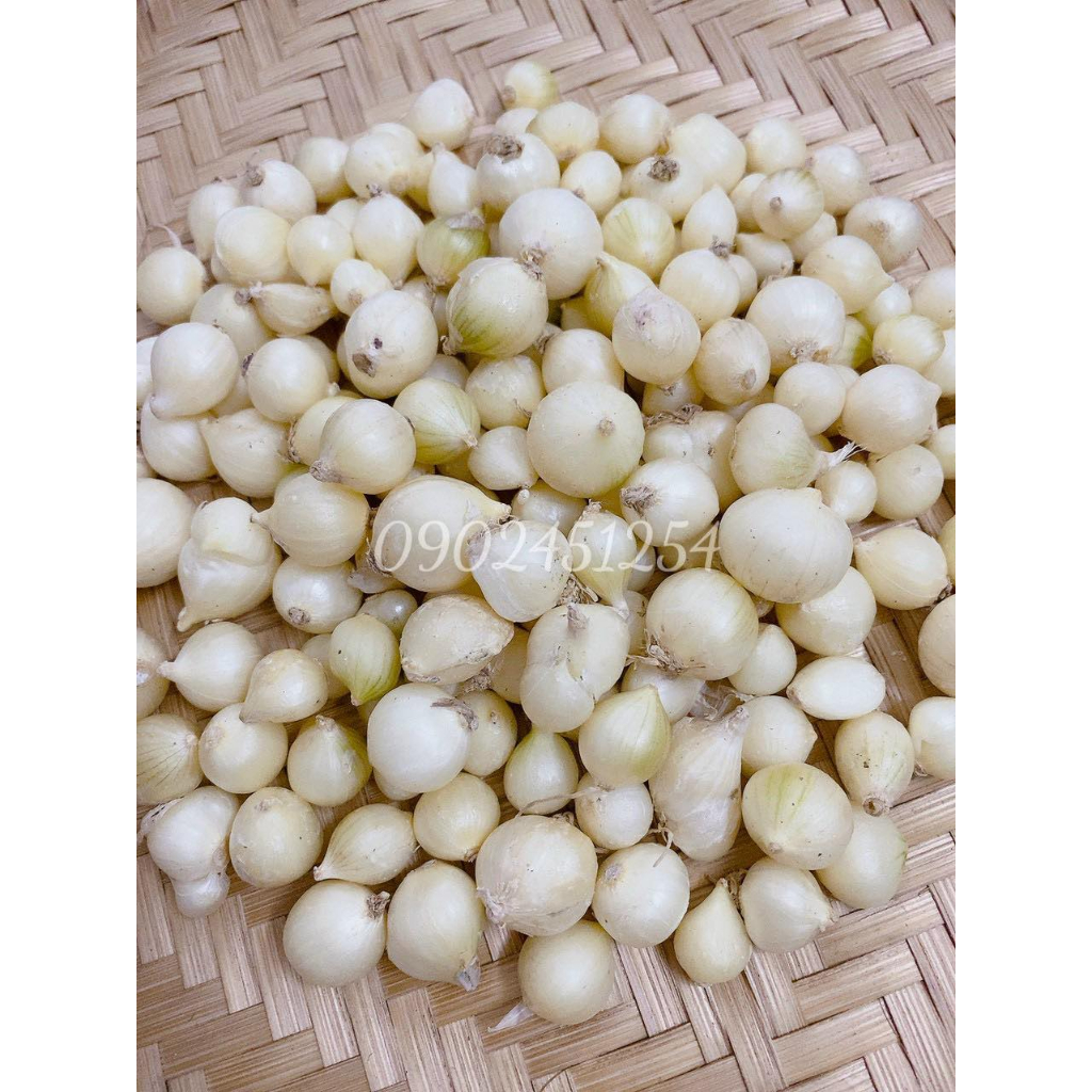 Q10 - 1Kg/500g Hành Tăm (Củ Nén) Miền Trung Sạch | Shopee Việt Nam