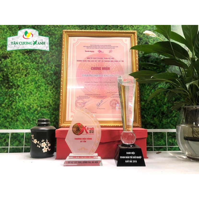 Trà Nhài Tiến Quan 100gram
