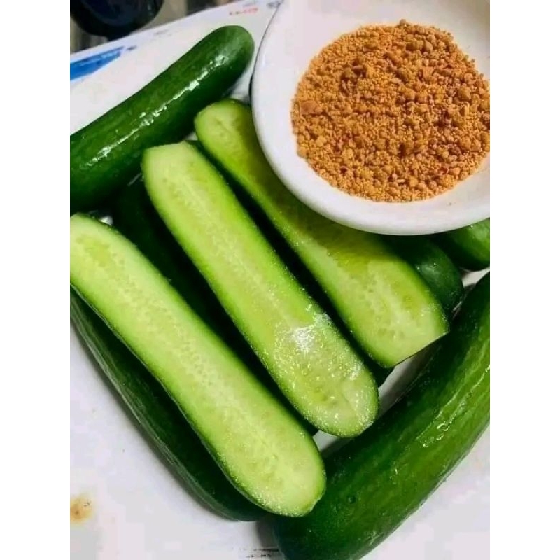 💥hạt giống  dưa chuột chùm baby f1 Mỹ xịn xò ⭐Siêu Quả 💞 Ăn Cực Dòn Ngon chất lượng cao
