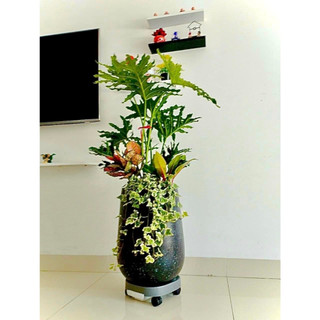 Đế Lót Chậu Hoa ,Kệ Cây Cảnh Có Bánh Xe Di Chuyển Đa Năng , Khay Hứng Nước Tiện Lợi Chịu Lực 80kg