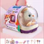 Đồ Chơi Lồng Mèo Lồng Thỏ Biết Đi Biết Kêu Cho Bé Chăm Sóc Thú Cưng Đồ Chơi Cho Mèo Đồ Chơi Bé Gái - BỐ KHỦNG LONG