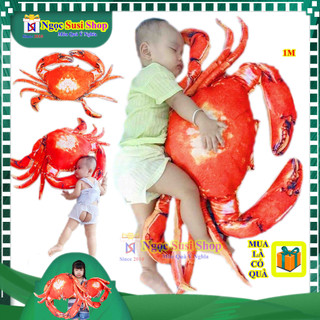 [MUA CÓ QUÀ NHA] GỐI ÔM CON CUA 3D ,GHẸ BÔNG CÀ MAU NHỒI BÔNG 3D KHỔNG LỒ ÔM NGỦ TRANG TRÍ HÀNG HIẾM