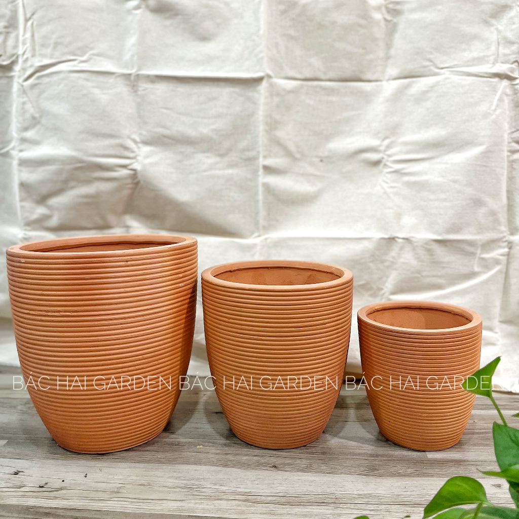 Chậu đất nung bộ 3 chậu vót chỉ cao cấp lớn