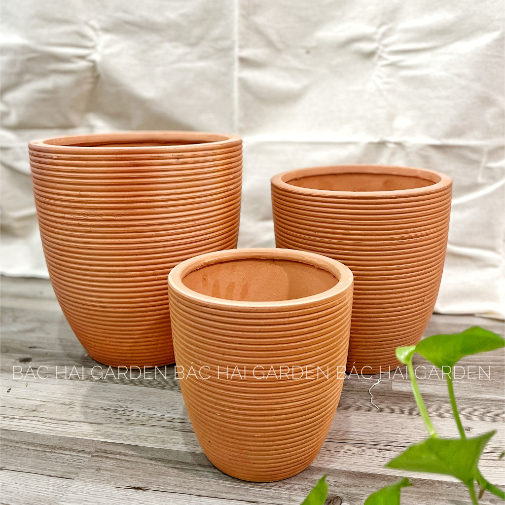 Chậu đất nung bộ 3 chậu vót chỉ cao cấp lớn