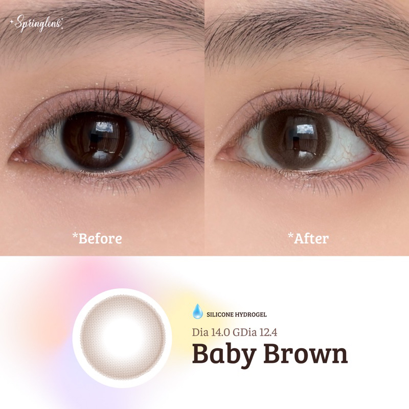 Lens Silicone Hydrogel BABY BROWN nâu sữa 6 tháng không giãn | Kính áp tròng Spring Lens