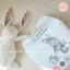 Tã/bỉm dán/quần MOMO RABBIT Hàn Quốc đủ size Momorabbit - Paddybaby