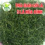 Combo 50 gói Trà túi lọc Giảo Cổ Lam 5 lá ổn định huyết áp, giảm mỡ máu, bình ổn huyết áp