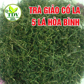 (Mua 2 tặng 1) Combo 50 gói Trà túi lọc Giảo Cổ Lam 5 lá ổn định huyết áp, giảm mỡ máu,  bình ổn huyết áp