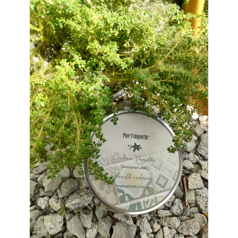 [Siêu xịn] Nến thơm xuất Mỹ hàng Pier 3 mùi 14.5oz, hủ siêu to, thơm bát ngát cho phòng lớn