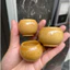 Cóng tre cật chim chào mào (Jambul cup ) gắn sẵn tai nan thưa