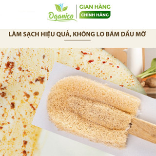 Cọ Rửa Ly 🌏 BÁN SỈ 🌏 Cây rửa ly xơ mướp tự nhiên Vi Lâm