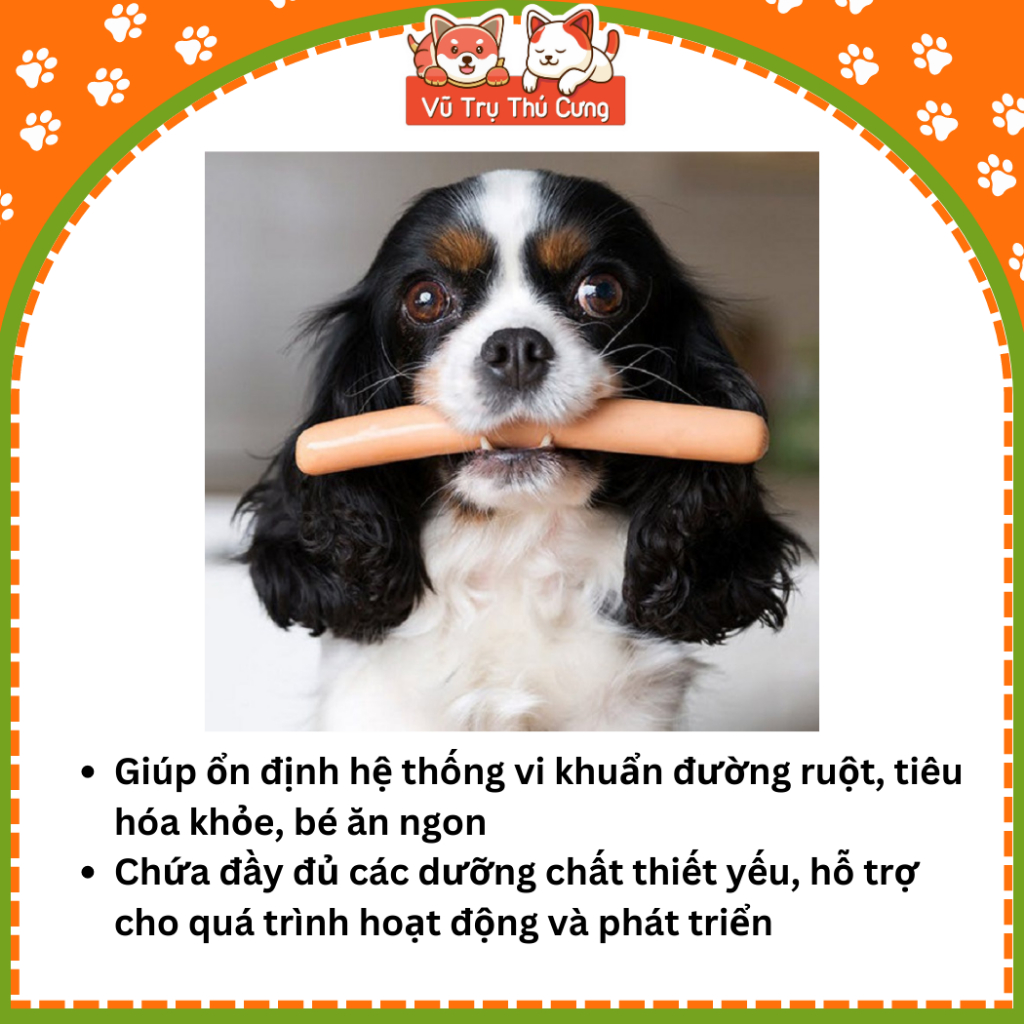 Xúc Xích Cho Chó Mèo Taotaopet / Yummy (Bịch 20 Cây)