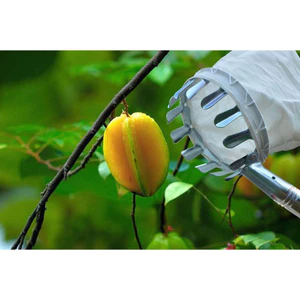 Vợt Hỗ Trợ Hái Trái Cây Trên Cao Kèm Túi Vải