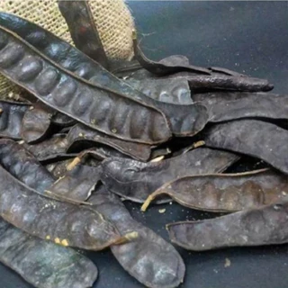 Cách gội đầu bằng quả bồ kết giúp tóc khỏe mạnh