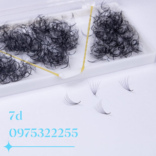 Mi fan 7D LASHES SUPPLY độ cong C -CC - D, độ dày 0.07-1 hộp 500 fan mi volume 7d keo nối mi, uốn mi