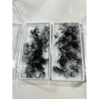 Mi fan 10D LASHES SUPPLY độ cong C -CC - D, độ dày 0.05 (1 hộp 500 fan) mi volume 10d, (keo nối mi, uốn mi, dụng cụ nối)
