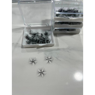 Mi fan 10D LASHES SUPPLY độ cong C -CC - D, độ dày 0.05 (1 hộp 500 fan) mi volume 10d, (keo nối mi, uốn mi, dụng cụ nối)