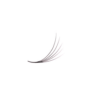 Mi fan line 5D cong C - CC - D MD LASHES SUPPLY, độ dày 0.07 (1 hộp 1000 fan)