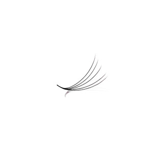 Mi fan line 5D cong C - CC - D MD LASHES SUPPLY, độ dày 0.07 (1 hộp 1000 fan)