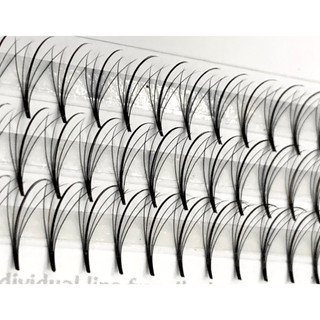 Mi fan Line LASHES SUPPLY, dây katun - wisspy 5d -0.07- cong C-CC-D ,hộp 1000 fan, mi volume, dụng cụ nối mi