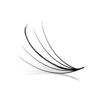 Mi fan Line LASHES SUPPLY, dây katun - wisspy 5d -0.07- cong C-CC-D ,hộp 1000 fan, mi volume, dụng cụ nối mi