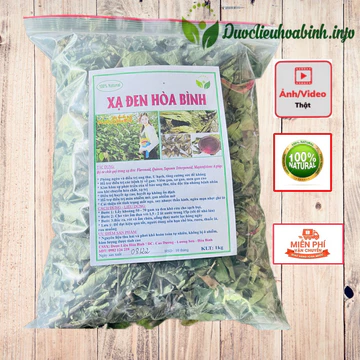Xạ Đen Hoà Bình( Loại cao cấp, ngọn tím lá răng cưa, tặng kèm hạt giống) sao vàng hạ thổ