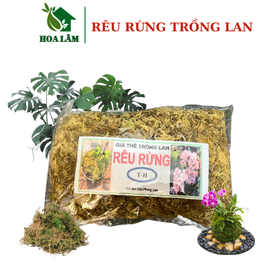Rêu Rừng Dùng Cho Phong Lan - Giá Thể Trồng Lan gói `150g | Shopee Việt Nam