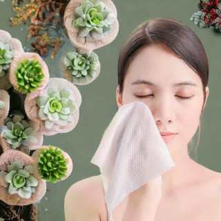 Khăn Giấy Khô Rửa Mặt Đa Năng Animerry