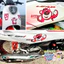 Tem Logo Dán Xe Gấu Dâu Lotso Size To 30cm Siêu Nét Chính Hãng Decal Không Thấm Nước Công Nghệ In MIMAKI NHẬT BẢN