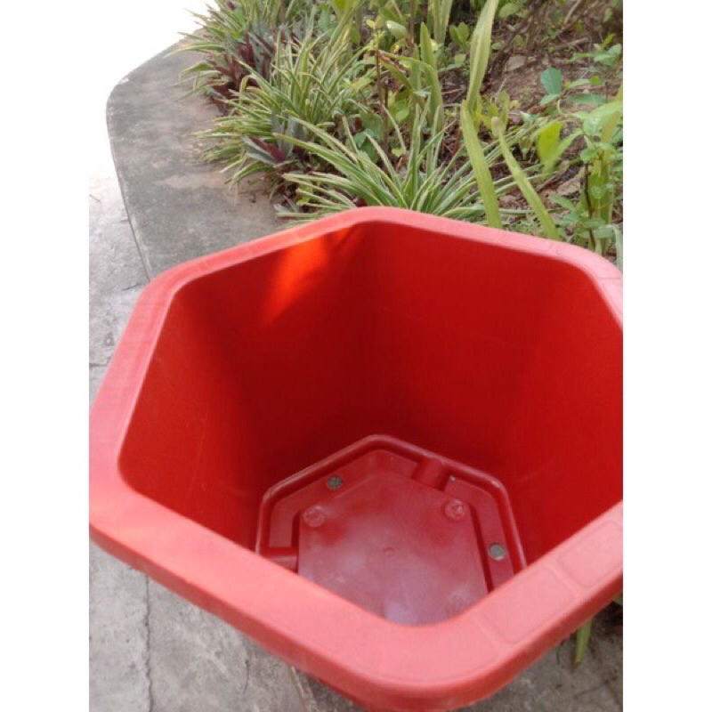 Combo 10 Chậu nhựa trồng cây lục giác FA380 cao 21 cm x rộng 33cm màu đỏ gạch, màu trắng