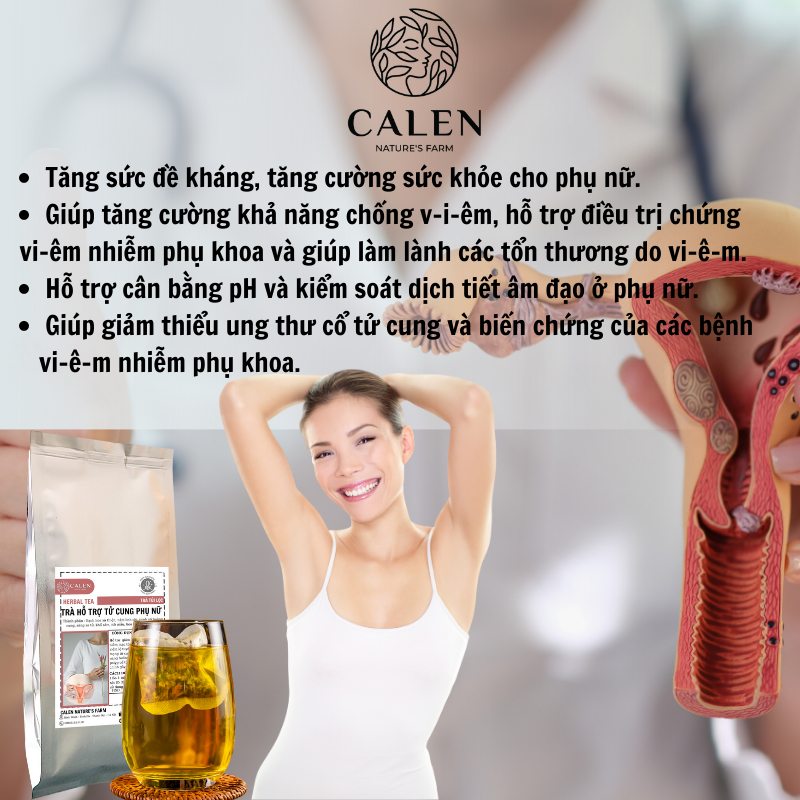 Trà hỗ trợ tử cung Calen giúp bài hàn tử cung, hỗ trợ tránh u xơ tử cung tăng cường nội tiết tố bảo vệ cơ thể tự nhiên