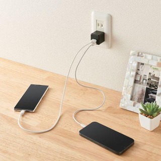 Củ sạc 2 cổng USB-A 12W ELECOM MPA-ACU11