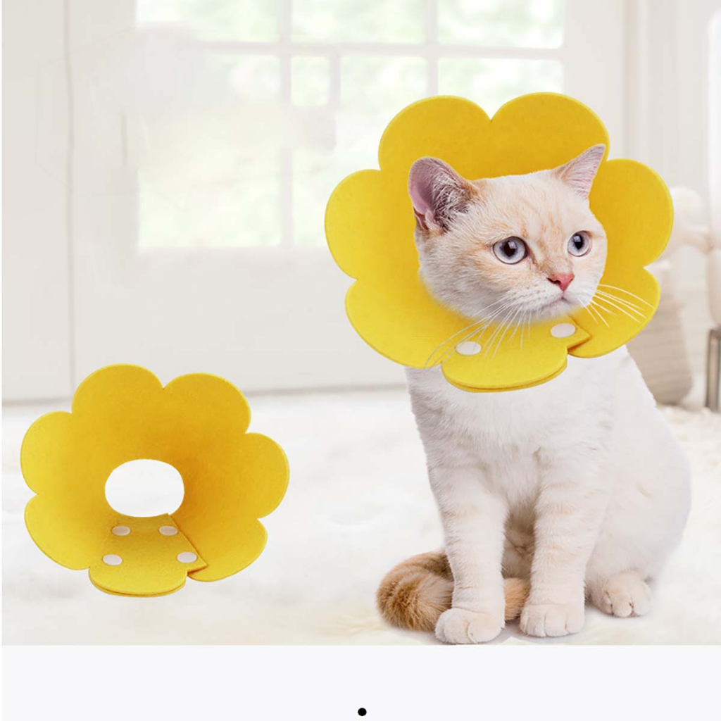 Loa Đeo Cổ Cho Mèo Con Chó Cún Thú Cưng Poodle Vòng Đeo Cổ Chống Ve Rận Liếm Trộm Bông Hoa Số 1 Chống Ngoái Chào Mào 10k