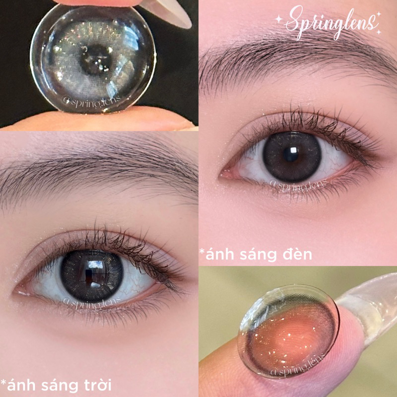 Lens Silicone Hydrogel SAIGON GRAY xám nhũ vỉ 6 tháng | Kính áp tròng @spring.lens