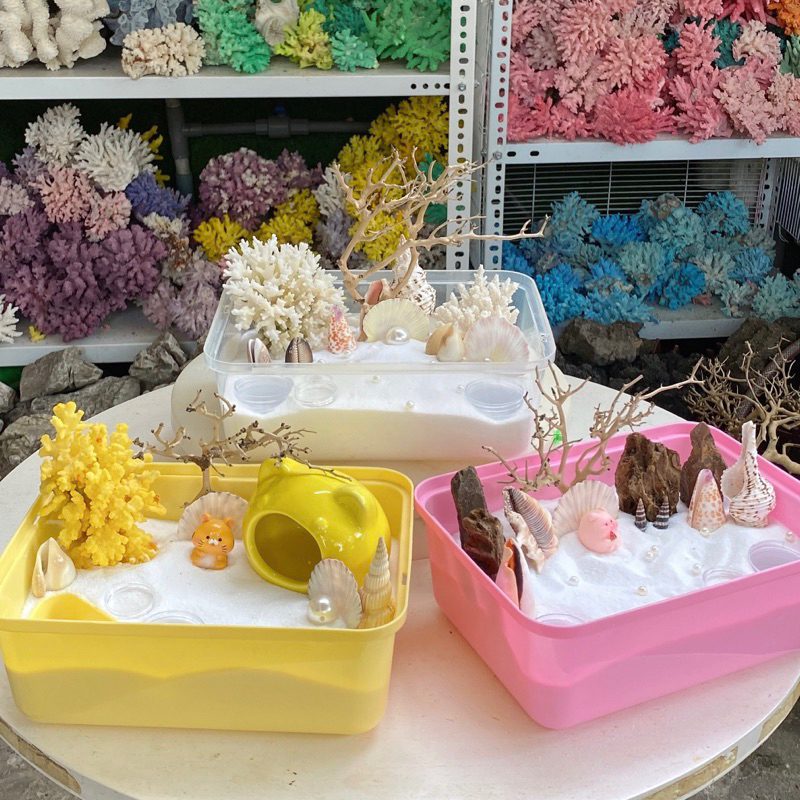 Combo hộp nhỏ 22cm BẢNG 1 nuôi ốc mượn hồn, ốc rụt rè, dã tràng, cua ẩn ...