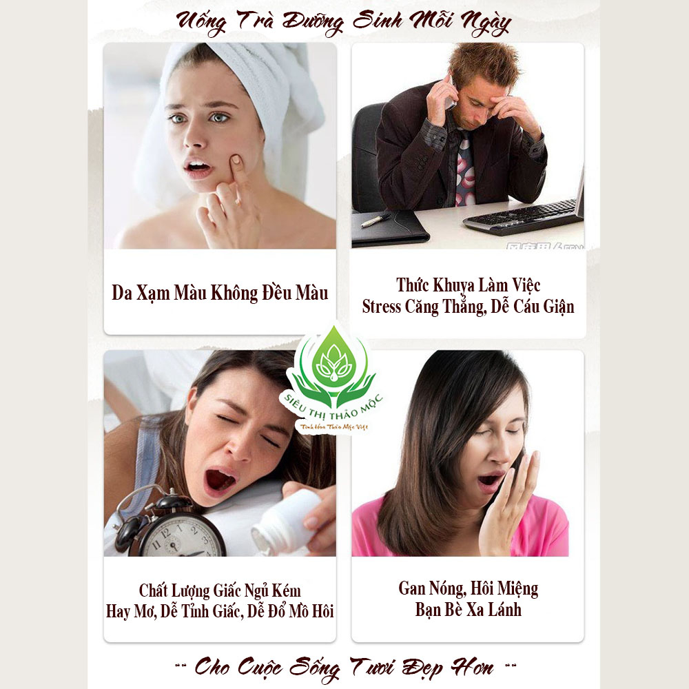 Chất lượng Trà Thảo Mộc An Thần Cúc Vàng Kỷ Tử Dâu Tằm Long Nhãn