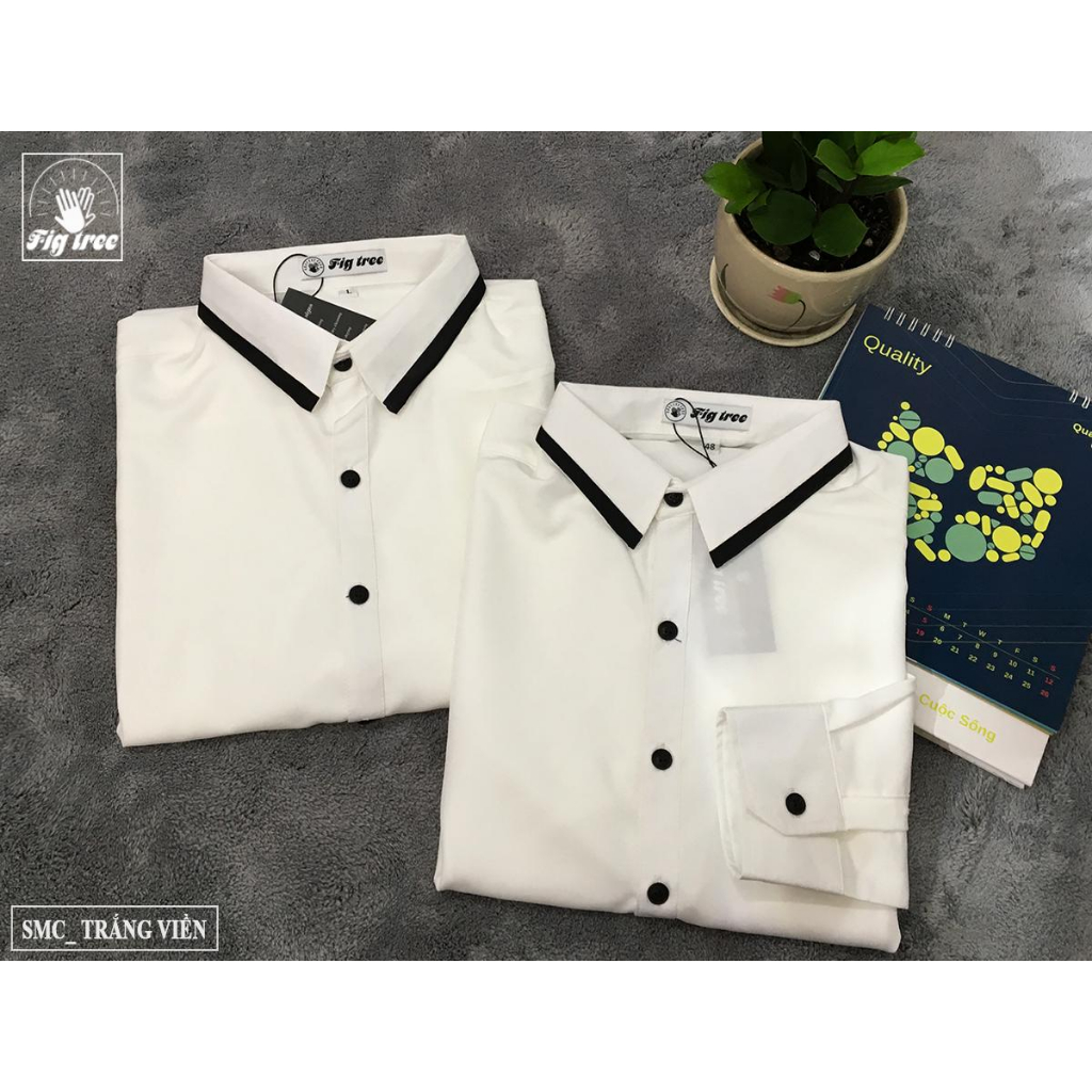 Set Áo Sơ Mi Đôi Fig Tree Màu Trắng Viền Cổ Đen Trendy ( hàng thiết kế full size 40-110kg)